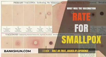 Smallpox Vaccination: A Historical Triumph in Public Health