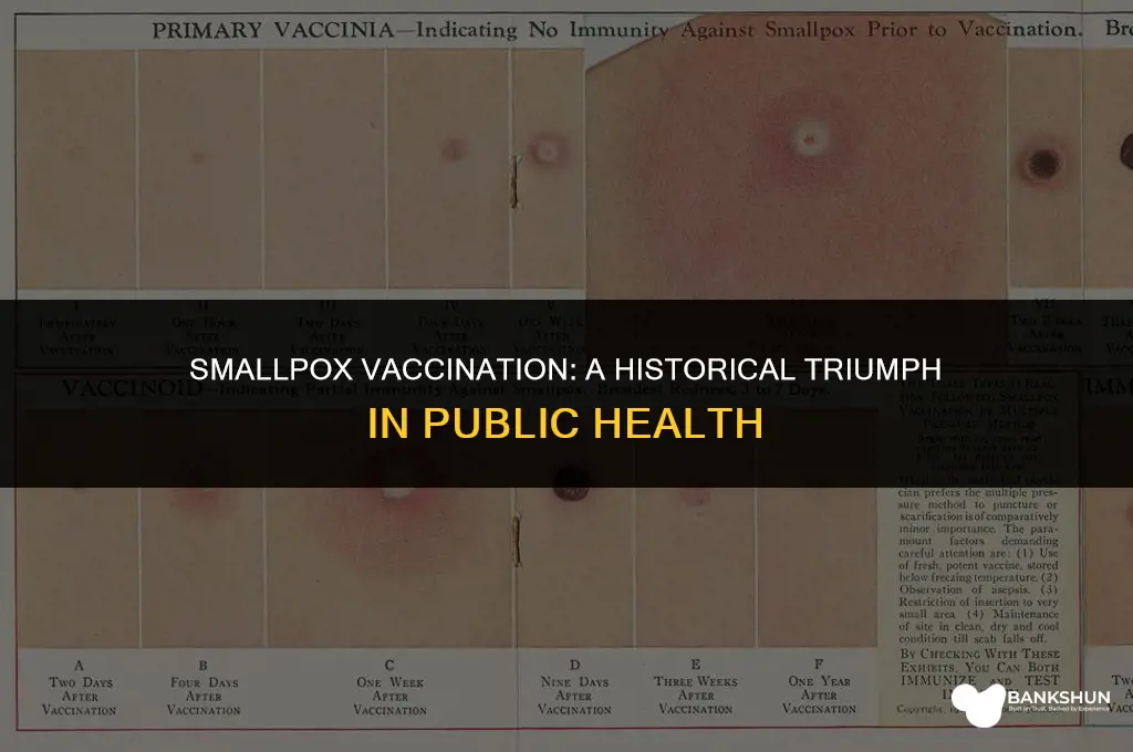what was the vaccination rate for smallpox