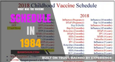 Vaccine Schedule in 1984: A Comprehensive Guide for Parents