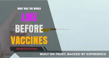 A World Without Vaccines: Unveiling the Past, Understanding the Present