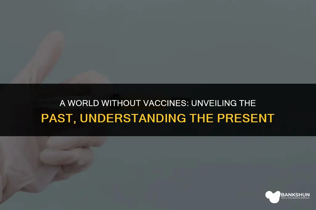 what was the world like before vaccines