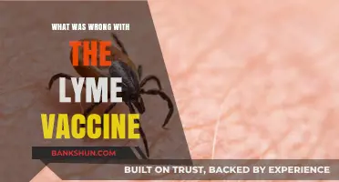 Unraveling the Controversy: Issues Surrounding the Lyme Vaccine