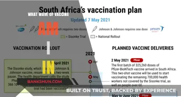 Understanding Your Place in the Vaccine Rollout: A Comprehensive Guide