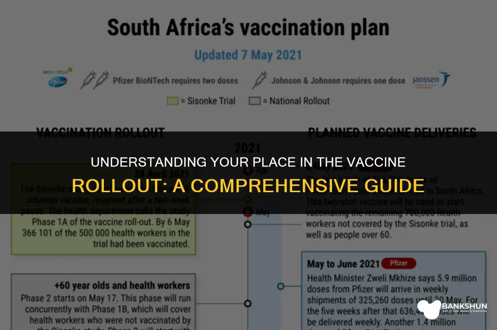 what wave of vaccine am i in
