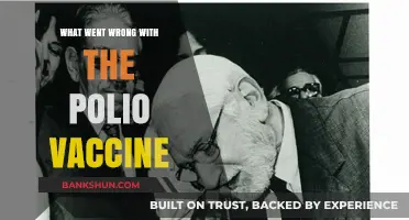 Unraveling the Polio Vaccine Controversy: A Closer Look