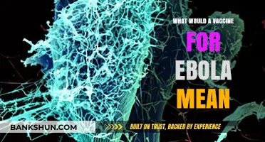 Hope on the Horizon: The Potential of an Ebola Vaccine