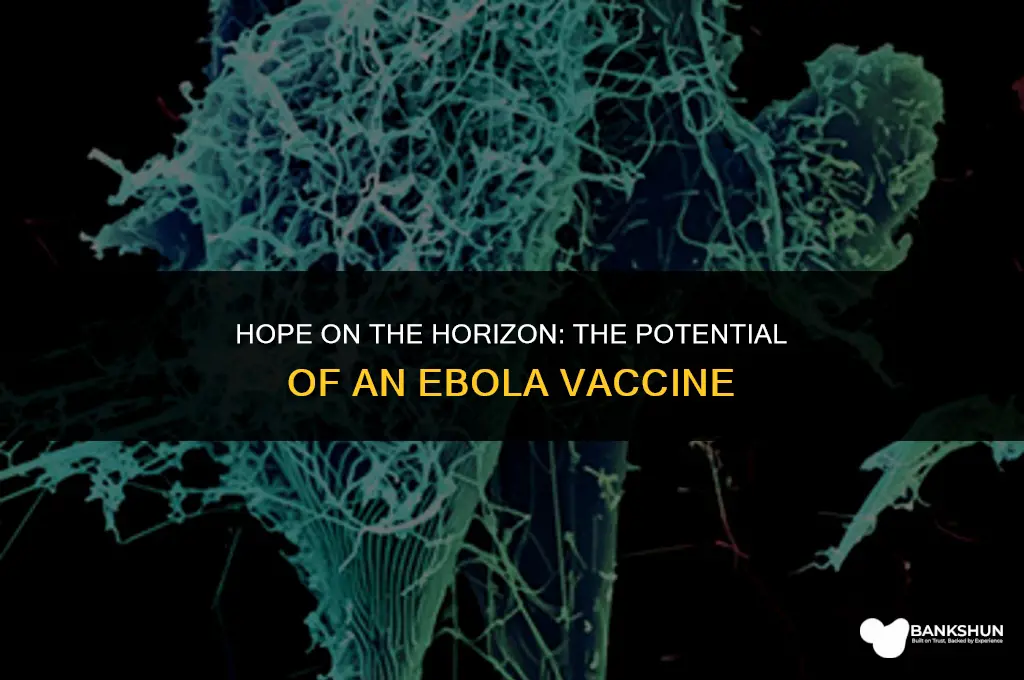 what would a vaccine for ebola mean