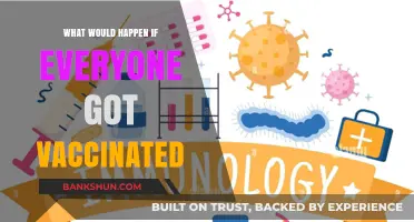 Global Immunity: Exploring the Impact of Universal Vaccination