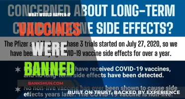 Exploring the Potential Consequences of a Vaccine Ban