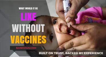 A World Without Vaccines: Exploring the Unseen Consequences