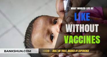 A World Without Vaccines: Exploring the Unseen Consequences