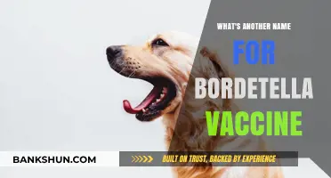 Protecting Against Whooping Cough: The Bordetella Vaccine Alternative