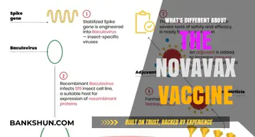 Unveiling the Unique Aspects of the Novavax Vaccine