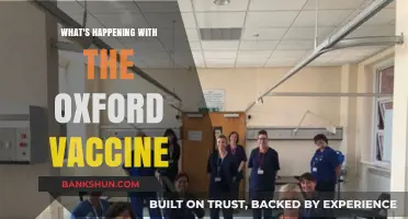Oxford Vaccine: Latest Developments and Global Impact