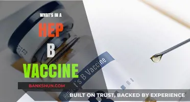 Decoding the Hepatitis B Vaccine: Ingredients and Efficacy Explained