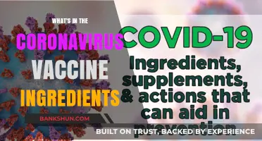 Unveiling the Components: What's Really Inside the COVID-19 Vaccine?
