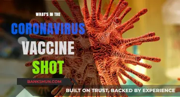 Decoding the COVID-19 Vaccine: Ingredients and Efficacy Explained