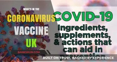 Decoding the UK's Coronavirus Vaccine: Ingredients and Safety Explained