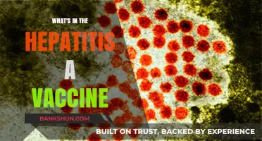 Unveiling the Components: What's Inside the Hepatitis A Vaccine?