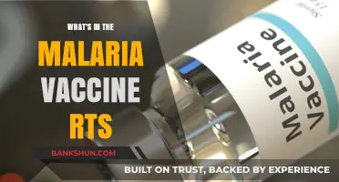 Decoding the Malaria Vaccine: What's Inside RTS?