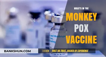 Unveiling the Components: Inside the Monkeypox Vaccine