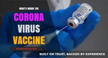 Decoding the COVID-19 Vaccine: Ingredients and Efficacy Explained