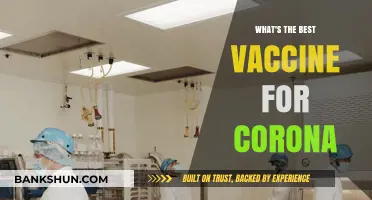 Choosing the Right COVID-19 Vaccine: A Comprehensive Guide