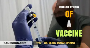 Understanding Vaccines: A Comprehensive Guide to Immunization