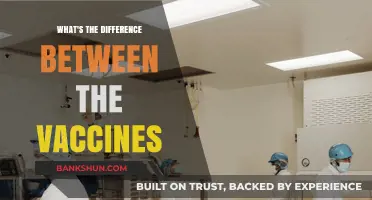 Decoding the Differences: A Comprehensive Guide to COVID-19 Vaccines