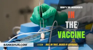 Unveiling the Components: A Breakdown of Vaccine Ingredients
