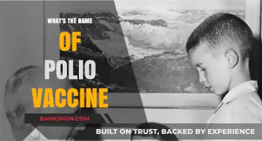 Eradicating Polio: The Journey and Impact of the Salk Vaccine