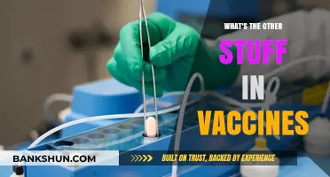 Decoding Vaccine Ingredients: Beyond the Active Components