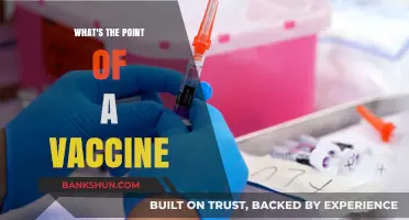 Understanding the Purpose and Power of Vaccines: A Comprehensive Guide