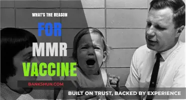 Unveiling the Science Behind the MMR Vaccine: A Comprehensive Guide