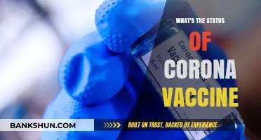 Corona Vaccine Update: Current Status and Future Prospects