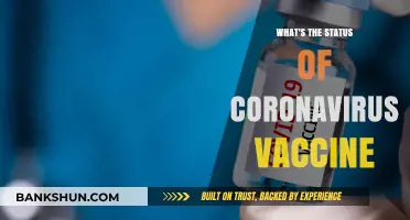 Decoding the Latest on COVID-19 Vaccines: Progress and Challenges