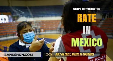 Exploring Mexico's Vaccination Progress: A Comprehensive Update