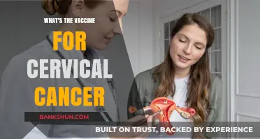 Protecting Against Cervical Cancer: The Power of Vaccination