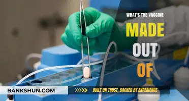 Decoding the Ingredients: What's Really Inside the Vaccine?