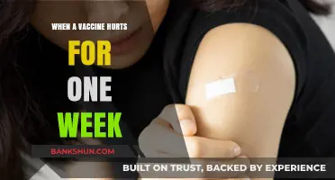 Temporary Pain, Long-Term Gain: Navigating Vaccine Side Effects