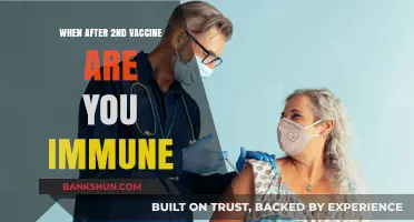 Boosting Immunity: The Timeline After Your Second Vaccine Dose