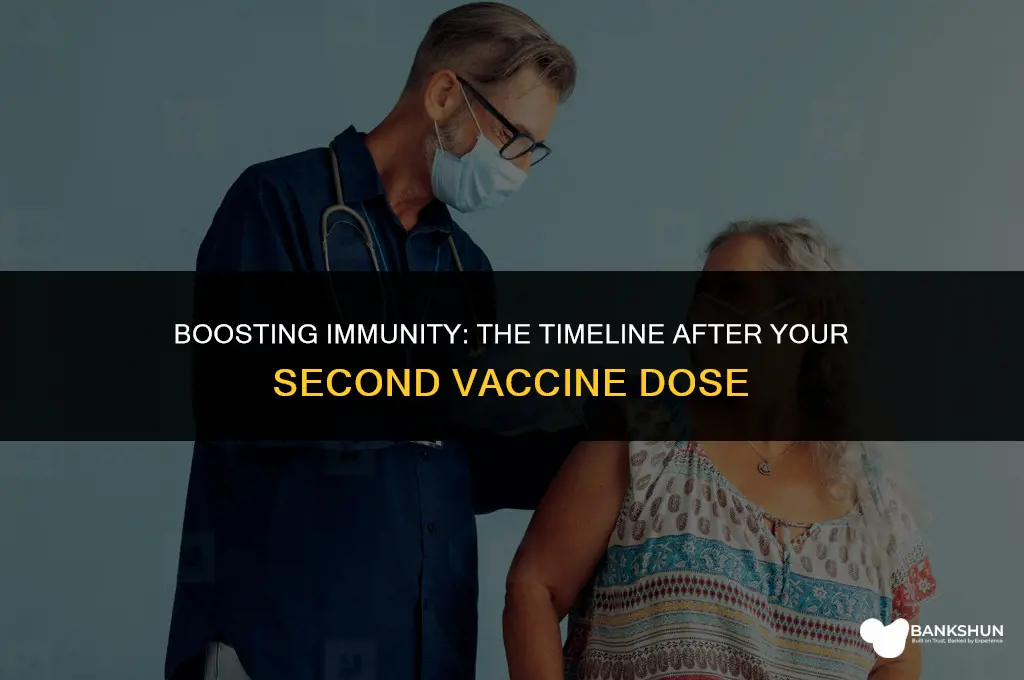 when after 2nd vaccine are you immune