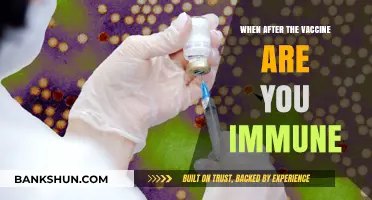 Boosting Immunity: Understanding Vaccine Efficacy Timeline