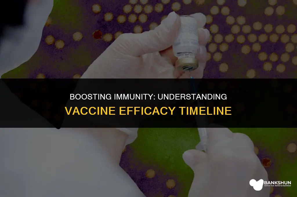when after the vaccine are you immune