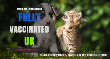 Understanding Full Vaccination Status in the UK: A Clear Guide