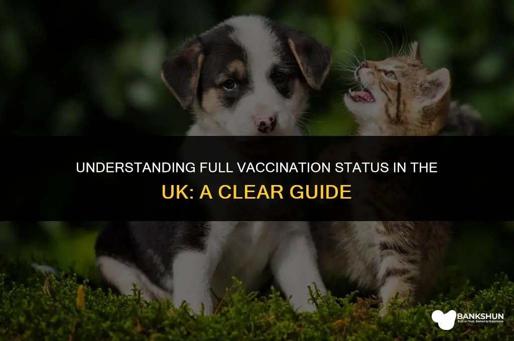 when am i considered fully vaccinated uk