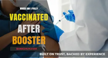 Boosting Immunity: When Can You Consider Yourself Fully Vaccinated?