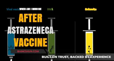 AstraZeneca Vaccine Immunity: When Can You Consider Yourself Protected?