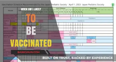 Vaccination Timeline: When Can You Expect Your Turn?