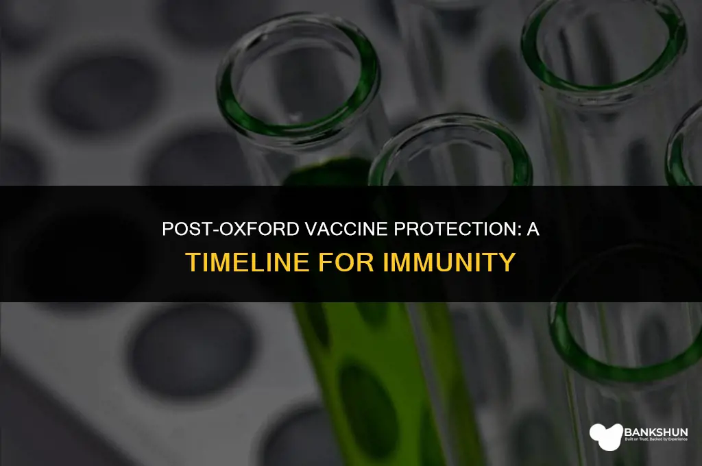 when am i protected after oxford vaccine